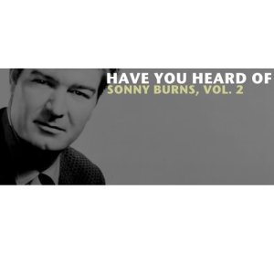 อัลบัม Have You Heard of Sonny Burns, Vol. 2 ศิลปิน 