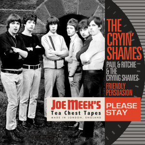 The Cryin' Shames的專輯Please Stay