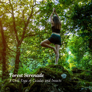 Forest Serenade: A Chill Yoga of Cicadas and Insects dari Mother Nature