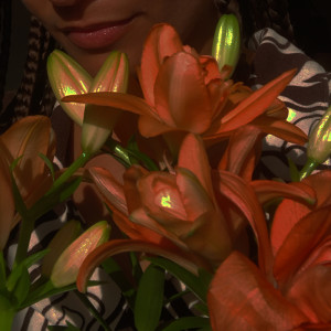 收听Erika de Casier的No Butterflies, No Nothing歌词歌曲