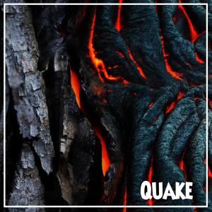 newaldd的專輯Quake (feat. Crisaunt, ROZES & Deeperise)