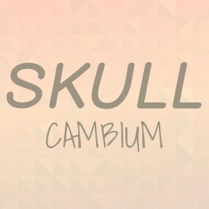 Skull Cambium dari Various