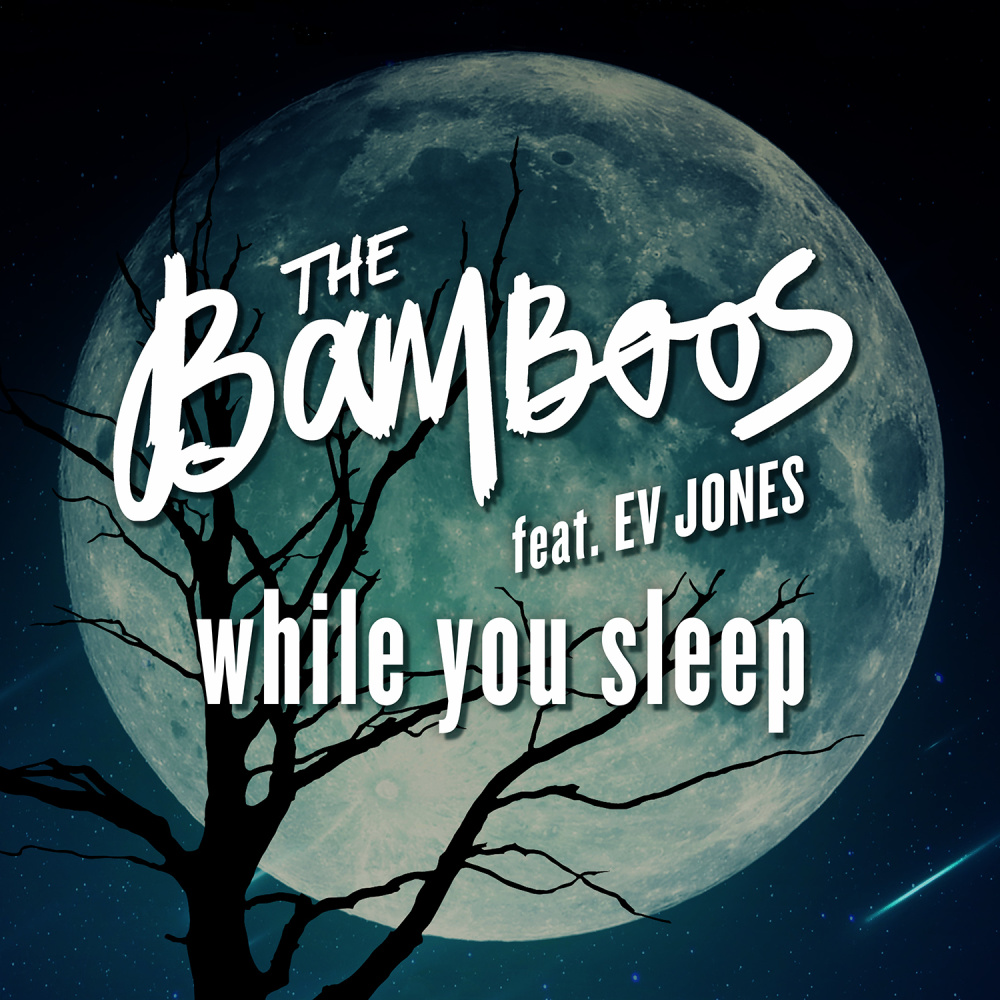 While You Sleep (feat. Ev Jones) (其他)