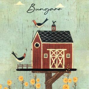 Album Appartenenza from Bungaro