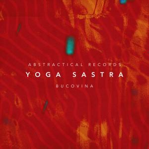 Listen to Bucovina (Radio Edit) song with lyrics from Yoga Sastra
