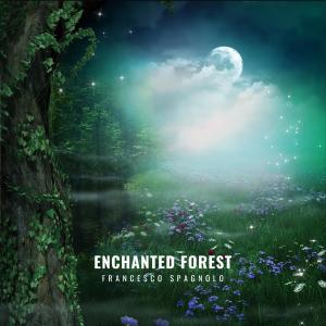 Album Enchanted forest oleh Francesco Spagnolo