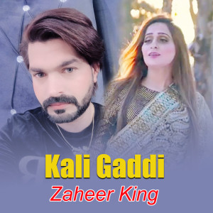 Album Kali Gaddi from Zaheer King