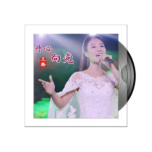 收听王璐的丹心向党歌词歌曲