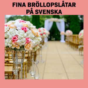 收聽Stiftelsen的Håll om mej! (Recorded At Spotify Studios, Stockholm)歌詞歌曲