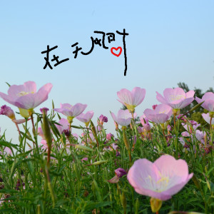 收聽劉馥郁的在無風時歌詞歌曲