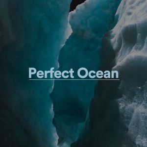 Album Perfect Ocean oleh Ocean Sounds