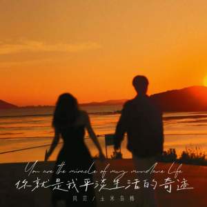 Listen to 你就是我平淡生活的奇迹 song with lyrics from 风范