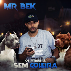 收聽MR BEK的Os Pitbull Ta Sem Coleira (Explicit)歌詞歌曲