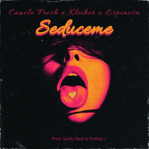 Kleiber的專輯Seduceme (Explicit)