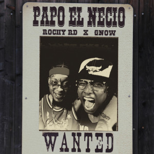 Album Papo El Necio from 