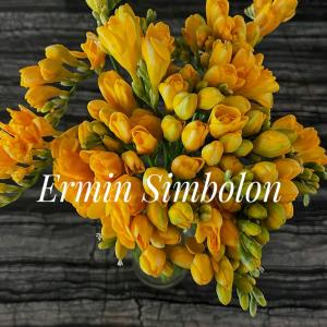 Album Margondang from Ermin Simbolon