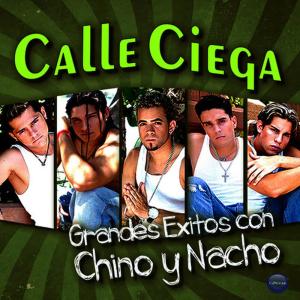 ดาวน์โหลดและฟังเพลง Quiero พร้อมเนื้อเพลงจาก Chino y Nacho