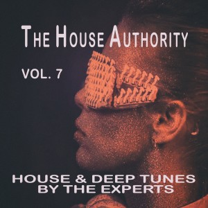 Dengarkan Technorag (House Union Mix) lagu dari Harry Prince dengan lirik