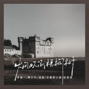 Listen to 大风吹倒梧桐树 song with lyrics from 洋澜一