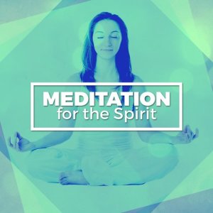 Meditation Deep Sleep的專輯Meditation for the Spirit