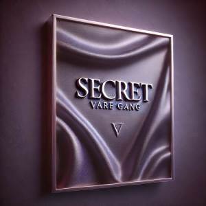 Vare gang的專輯Secret