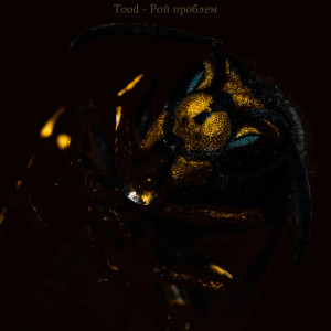 Listen to Рой проблем (Explicit) song with lyrics from Tood