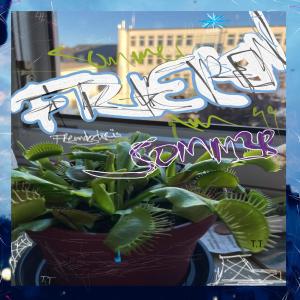 收聽reymie的frieren im sommer (Explicit)歌詞歌曲