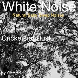 Listen to White Noise: Crickets at Dusk (Natural Baby Sleep Noises) song with lyrics from ASFRS