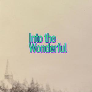 อัลบัม Into the Wonderful ศิลปิน Paper Planes