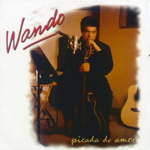 ดาวน์โหลดและฟังเพลง É amor พร้อมเนื้อเพลงจาก Wando