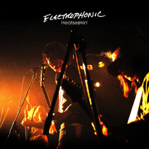 ดาวน์โหลดและฟังเพลง Ain't Got No Reason พร้อมเนื้อเพลงจาก Electrophonic