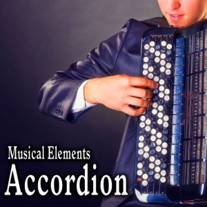 ดาวน์โหลดและฟังเพลง Brief Accordion Music Accent 7 พร้อมเนื้อเพลงจาก Sound Ideas