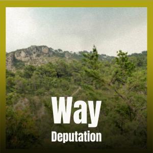 Album Way Deputation from Various