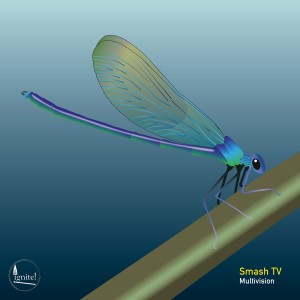 ดาวน์โหลดและฟังเพลง Multivision (Renato Cohen Remix) พร้อมเนื้อเพลงจาก Smash TV