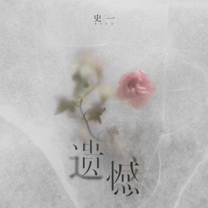 Listen to 遗憾 (伴奏) song with lyrics from 史一