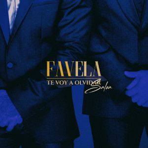 Album Te Voy a Olvidar (Salsa) from Favela