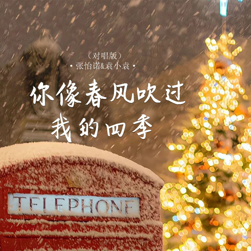 你像春风吹过我的四季 (DJ西米对唱版伴奏)
