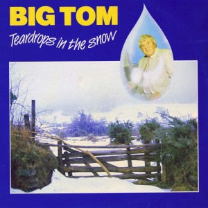 收聽Big Tom & The Mainliners的Fall Guy歌詞歌曲