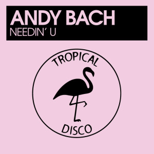 อัลบัม Needin' U ศิลปิน Andy Bach