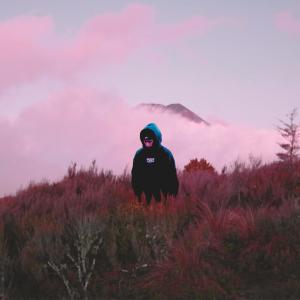 收聽Flywlkr的Searching歌詞歌曲