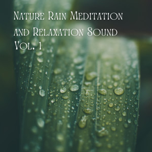 อัลบัม Nature Rain Meditation and Relaxation Sound Vol. 1 - 2 Hours ศิลปิน Thunderstorm Sleep