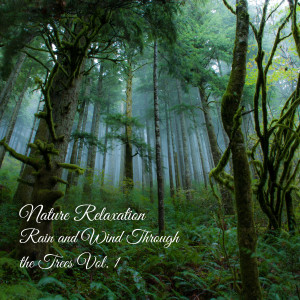 Celtic Music Voyages的專輯Nature Relaxation: Rain and Wind Through the Trees Vol. 1