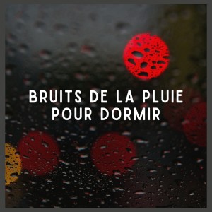 Sons De Pluie的專輯Bruits de la Pluie pour Dormir
