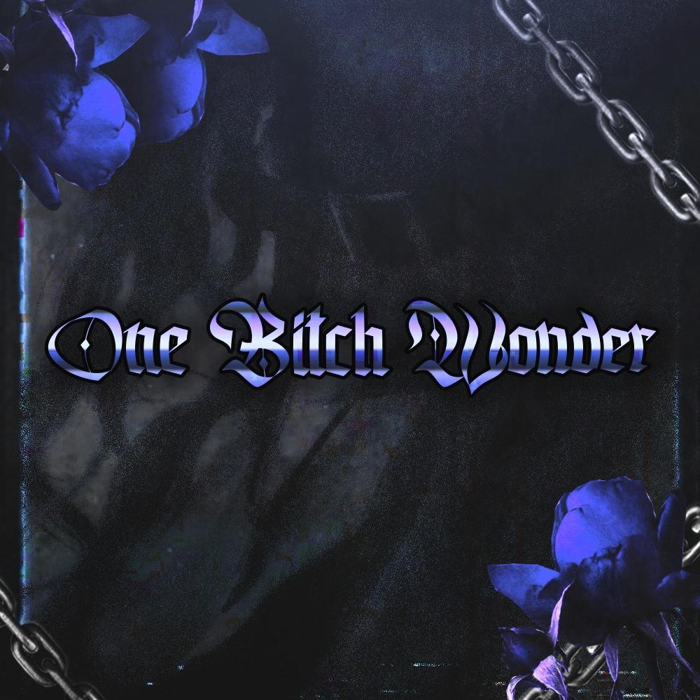 One bitch wonder (feat. r3.halfpace) (Explicit)