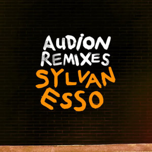 ดาวน์โหลดและฟังเพลง Die Young (Audion Remix) พร้อมเนื้อเพลงจาก Sylvan Esso