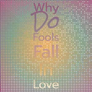 Why Do Fools Fall In Love dari Silvia Natiello-Spiller
