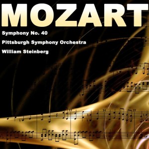 收听Pittsburgh Symphony Orchestra的Symphony No. 40 In G Minor, K. 550: II. Andante歌词歌曲