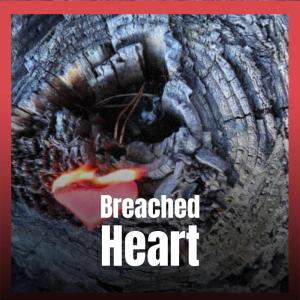 Album Breached Heart from Various