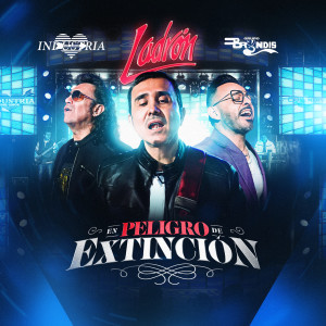 ดาวน์โหลดและฟังเพลง En Peligro de Extinción พร้อมเนื้อเพลงจาก Ladrón
