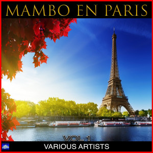 Listen to Mambo Jambo Que Rico el Mambo song with lyrics from Henri Rossotti